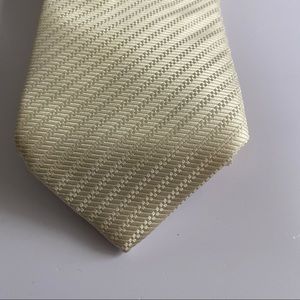 Pavone Exclusively for Clotherie Phoenix Tie, 100% Silk